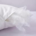 The Cloud Comforter