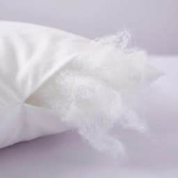 The Cloud Comforter